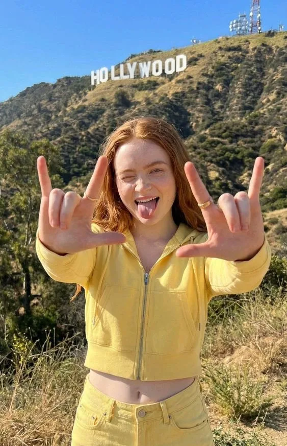 Social Media Post - Photorealistic Portrait of Sadie Sink on the Hollywood Hillside